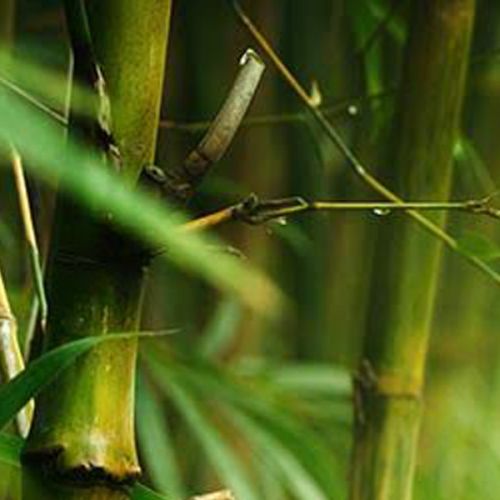 INNOVÁCIÓ A FONALAK TERÉN